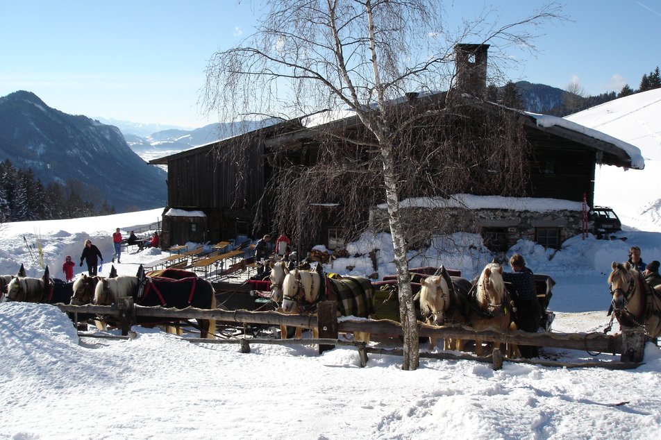Pferdeschlitten auf der Halseralm | © Tourismusverband Schladming