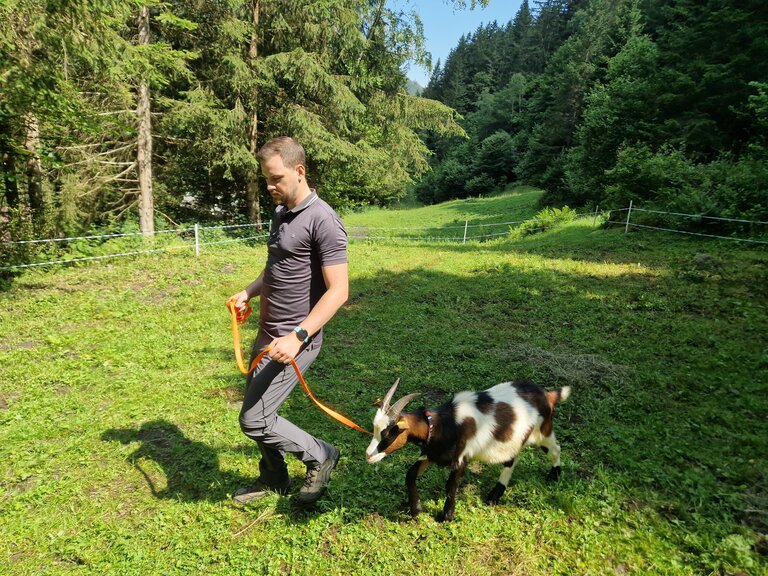Goat hike - Impression #2.5